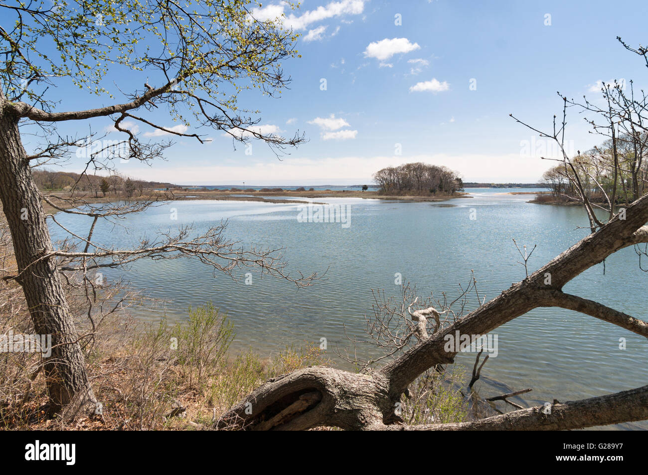 Miss Annie Creek, Mashomack zu bewahren, Shelter Island, Long Island, New York, USA Stockfoto