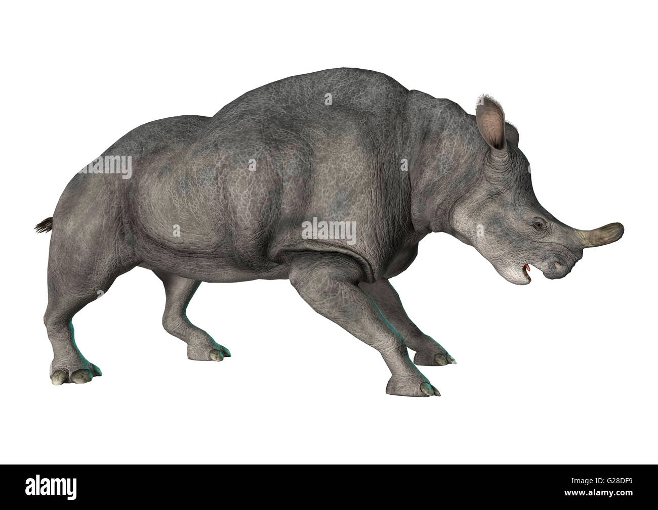3D-Rendering einer starb Tier Brontotherium auf weißem Hintergrund isoliert Stockfoto