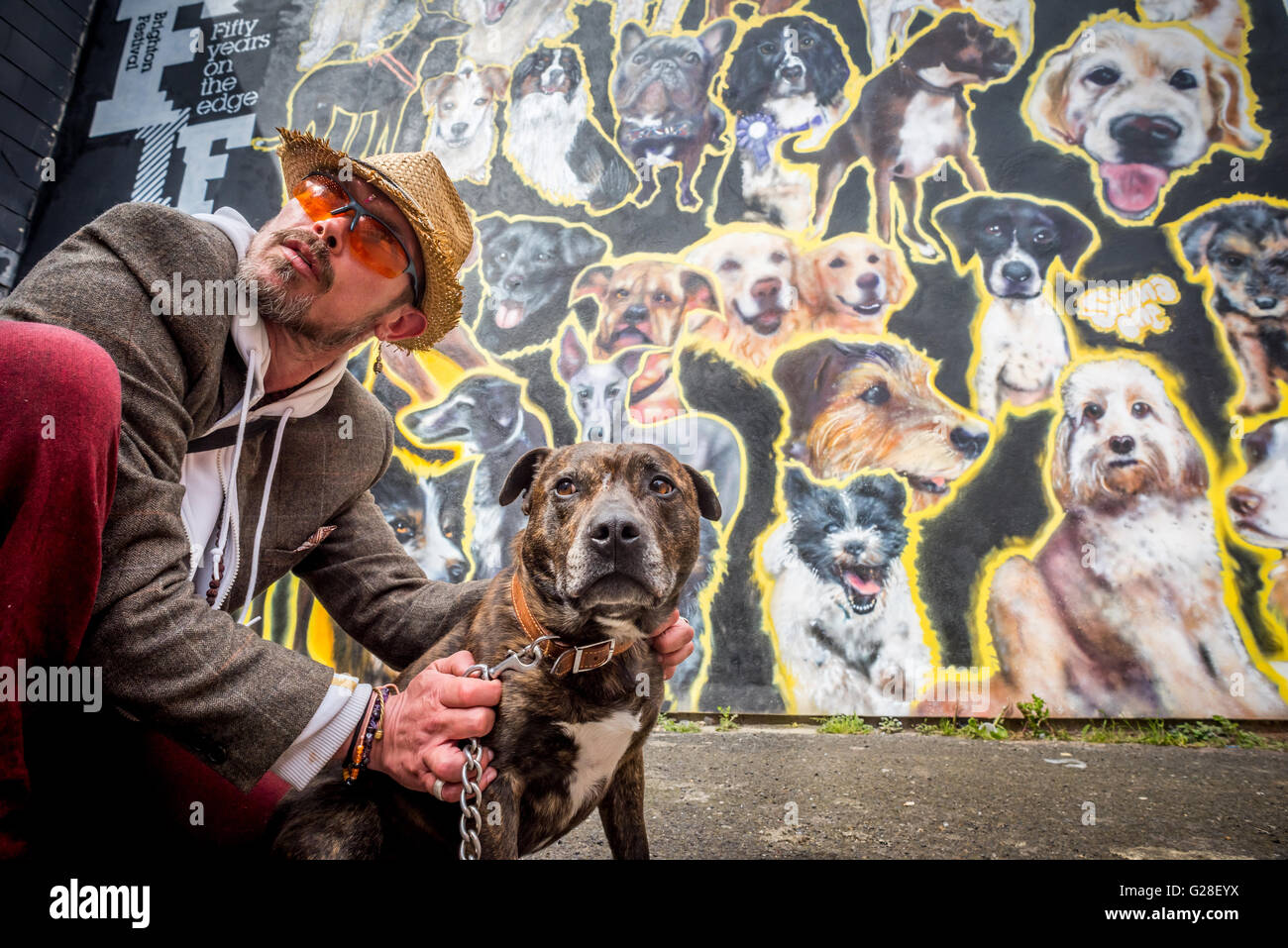 Ein Hund namens Ziggy als Reaktion auf ein riesiges Straßenkunst Wandgemälde von Daryl Bennett, von Hunden in Brighton Stockfoto