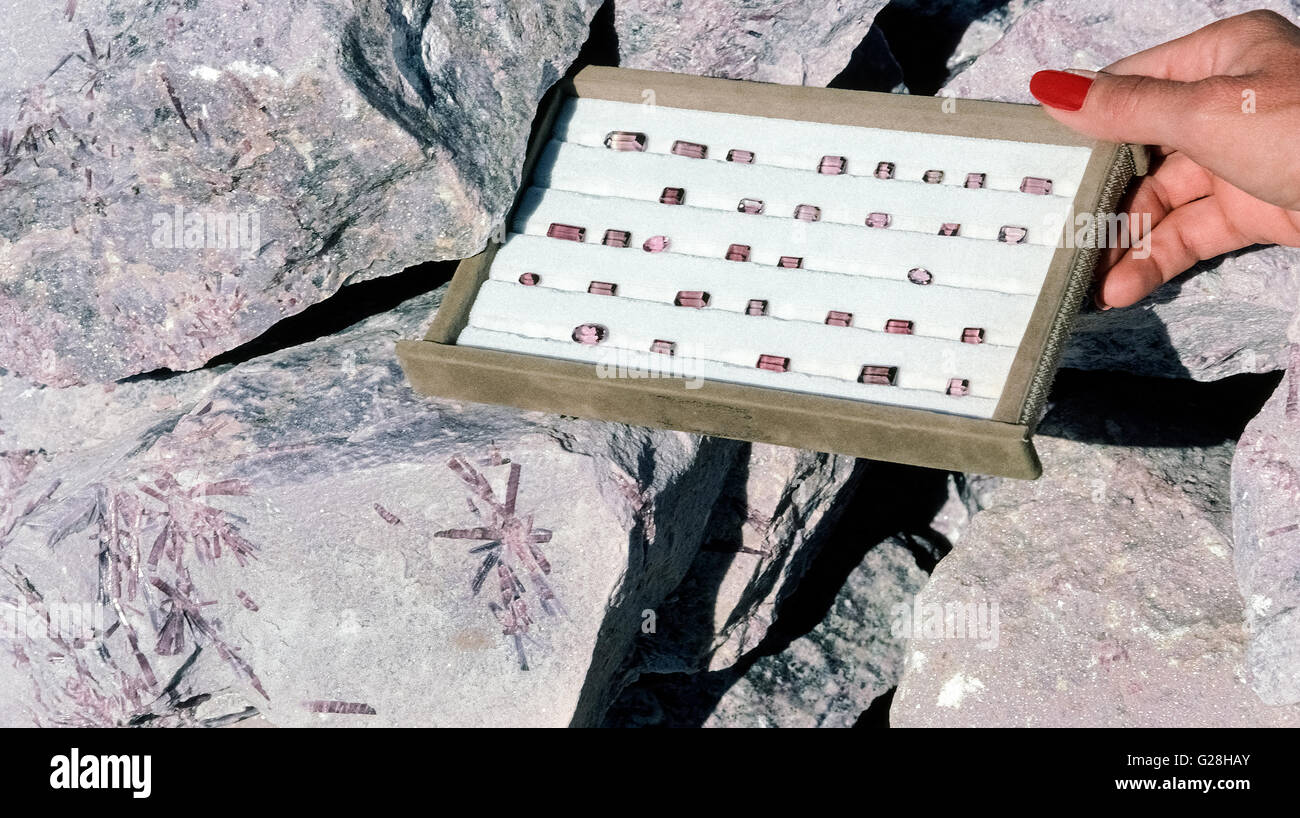 Pink Turmalin Edelsteine sind im Freien, nachdem er angezeigt, geschliffen und poliert nach ihrer Entdeckung in der Stewart-Mine bei Pala in San Diego County in Kalifornien, USA. Die Halbedelsteine wurden zuerst im Jahre 1890 gefunden obwohl Turmaline in Maine bereits als 1822 entdeckt wurden. Kalifornien und Maine produziert die meisten der Welt Edelsteinqualität Turmaline in den frühen 1900er Jahren. Dieses Tablett mit geschnittenen Steinen findet sich in der Nähe von Felsen mit rosa Lepidolith, farbige verschiedener kristallisierte Silikatmineralien genannt Glimmer, die auch bei der Stewart-Mine gefunden wird. Stockfoto