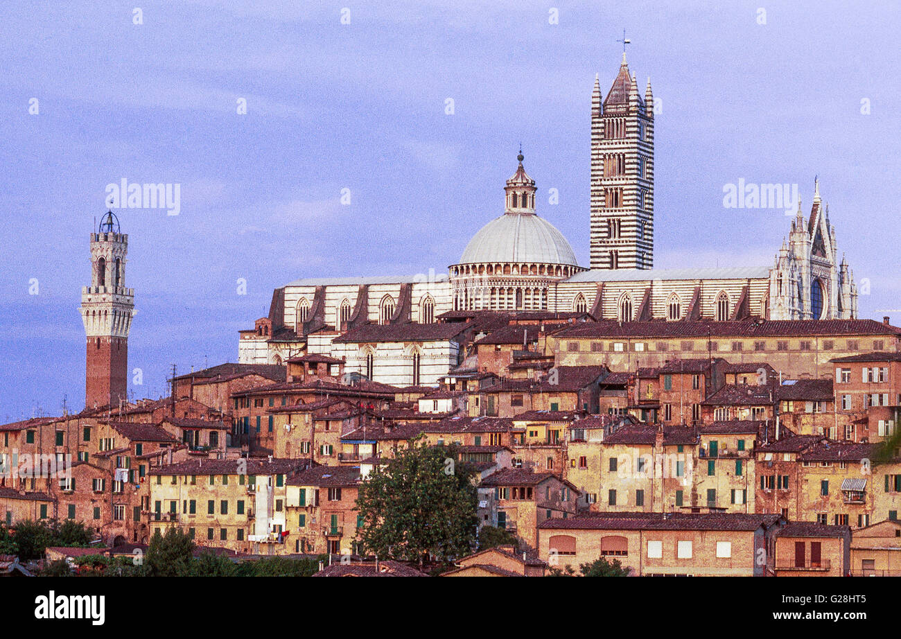 Kathedrale (Duomo) und Torre del Mangia von Siena (Toskana) Stockfoto