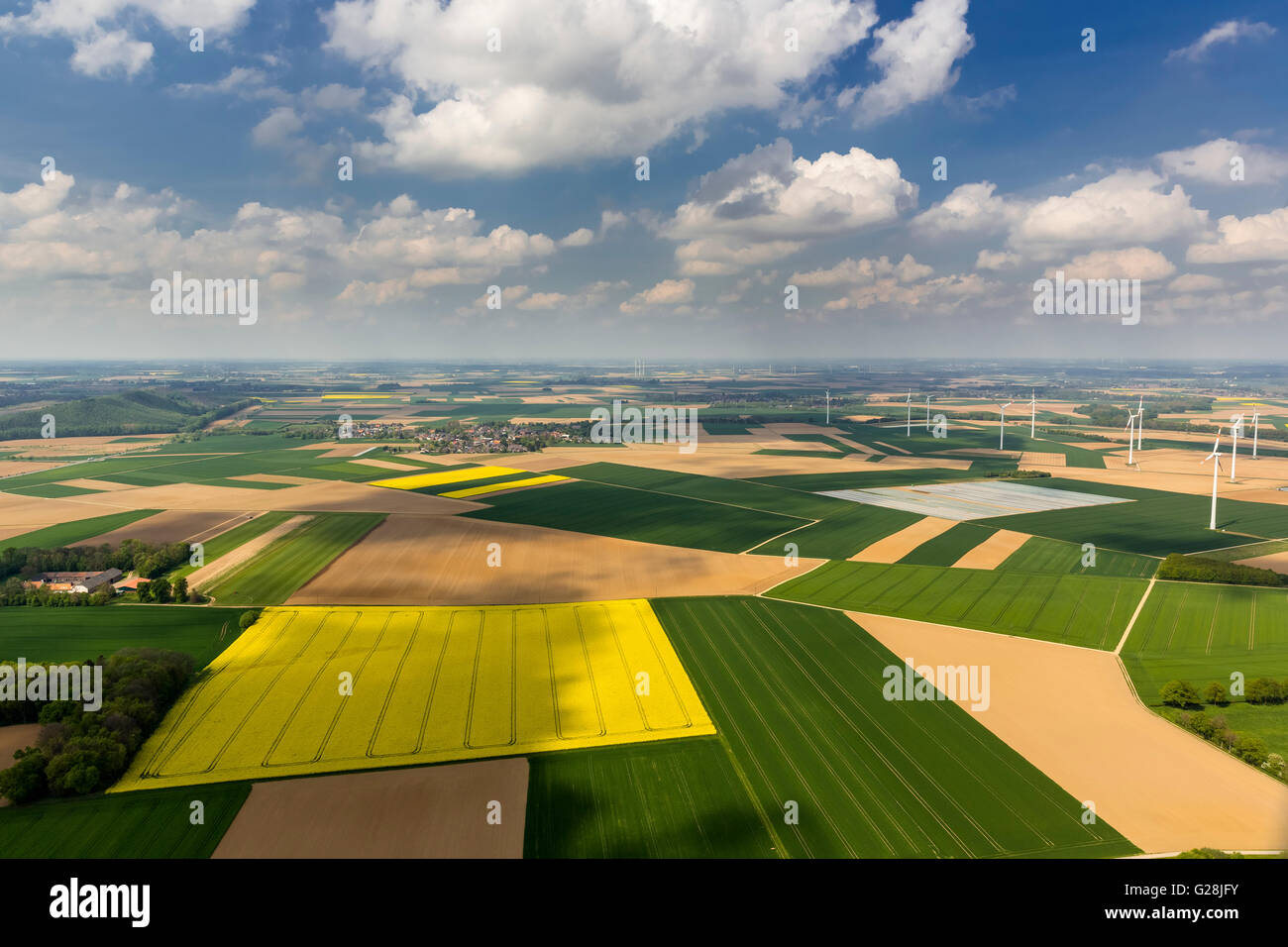 Luftbild, Rapsfelder, blaue Himmel Wolken, geometrische Strukturen, Aldenhoven, Niederrhein, Nordrhein-Westfalen, Stockfoto