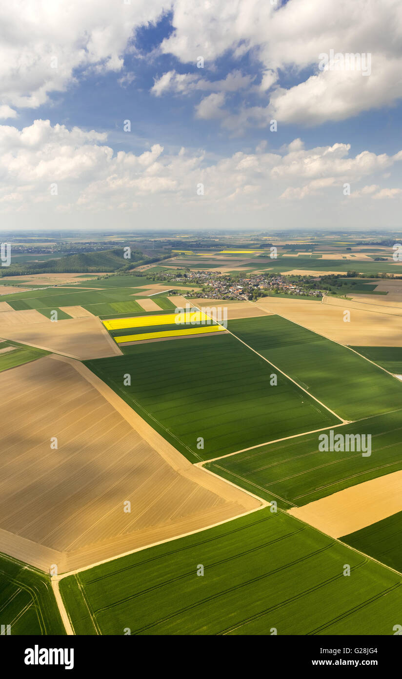 Luftbild, Rapsfelder, blaue Himmel Wolken, geometrische Strukturen, Aldenhoven, Niederrhein, Nordrhein-Westfalen, Stockfoto