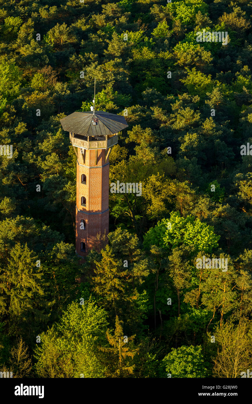 Luftaufnahme, Lookout tower im Wald von Krakau auf See Krakau, Krakau am See, Mecklenburgische Seenplatte, Mecklenburg Stockfoto