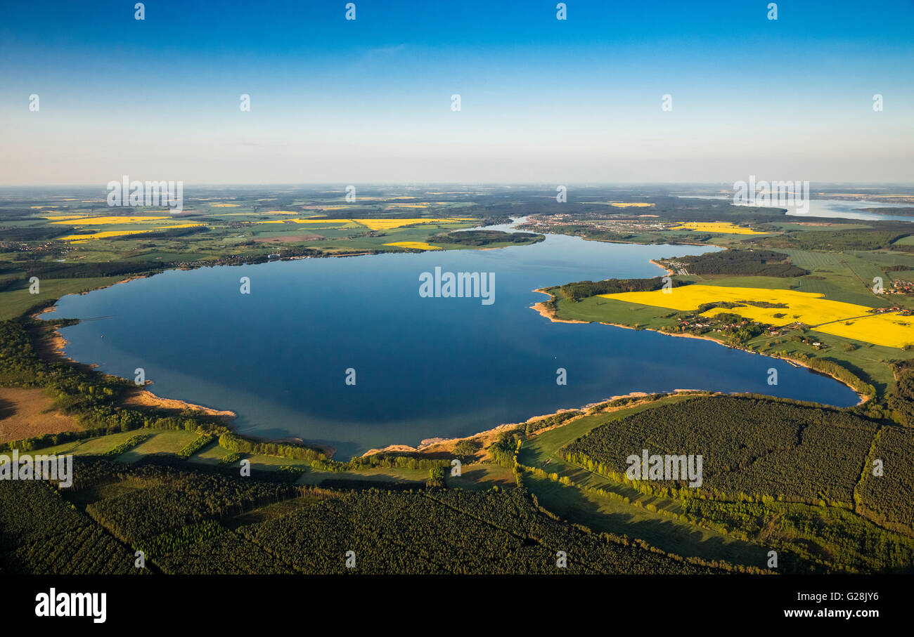 luftaufnahme-fleesensee-in-malchow-mecklenburgische-seenplatte-raps