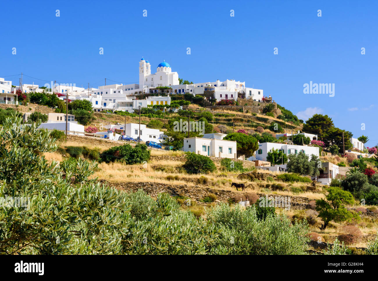 Das Dorf Ano Petali gekrönt durch die blaue Kuppel weiße Kirche von Agios Ioannis, Sifnos Insel, Griechenland Stockfoto