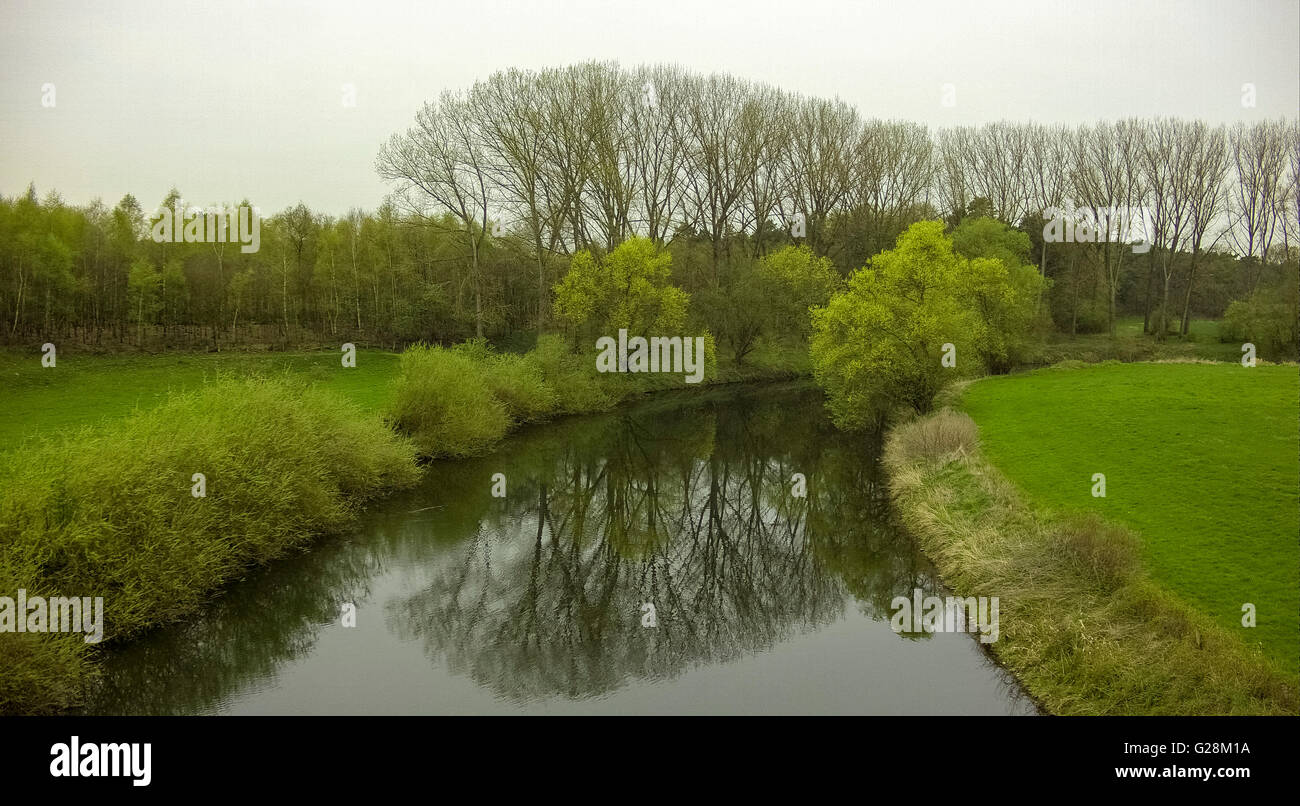 Aerial, aerial View, reflektieren Bäume im Wasser, Lippeauen, Lippe Flux Flow, Naturschutzgebiet südlich von pflegt, pflegt Ruhrgebiet,, Stockfoto