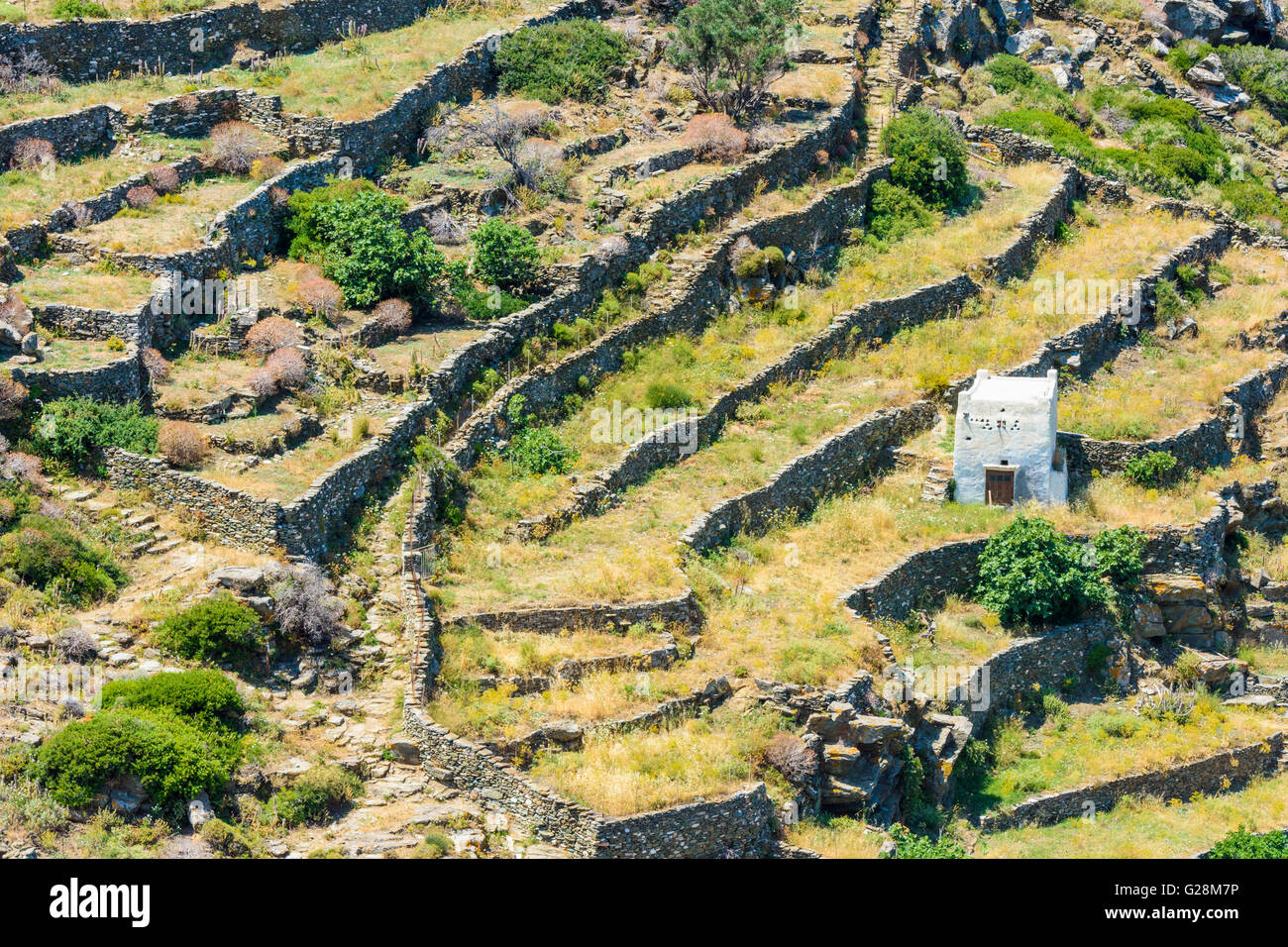Taubenschlag und alten Steinmauer Terrassen auf der Insel Sifnos, Kykladen, Griechenland Stockfoto