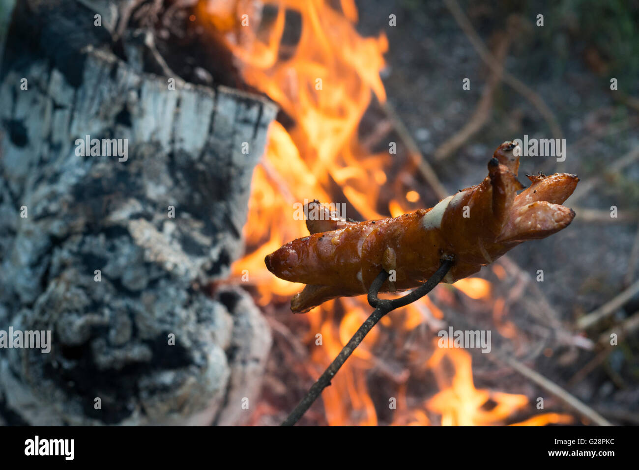 Wurst am Spieß über dem Feuer. Würstchen am Lagerfeuer vorbereiten ...