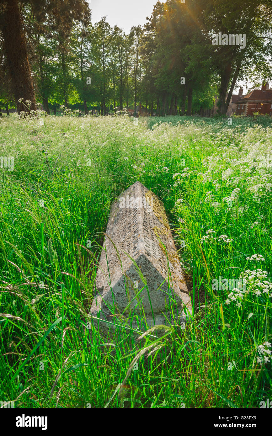 Kirchhof England, Blick im Sommer auf ein Grab in St. Mary's Kirchhof, Bury St Edmunds, Suffolk, England, Großbritannien Stockfoto