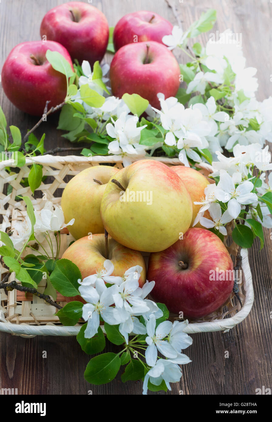 Äpfel in einem Weidenkorb Stockfoto