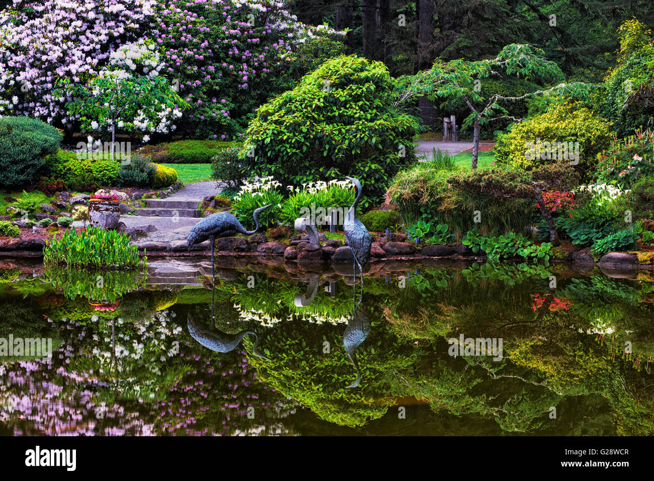 Frühling Blüte Reflexionen im Lily Pond im Shore Acres State Park Botanical Garden im Süden Oregons Küste. Stockfoto