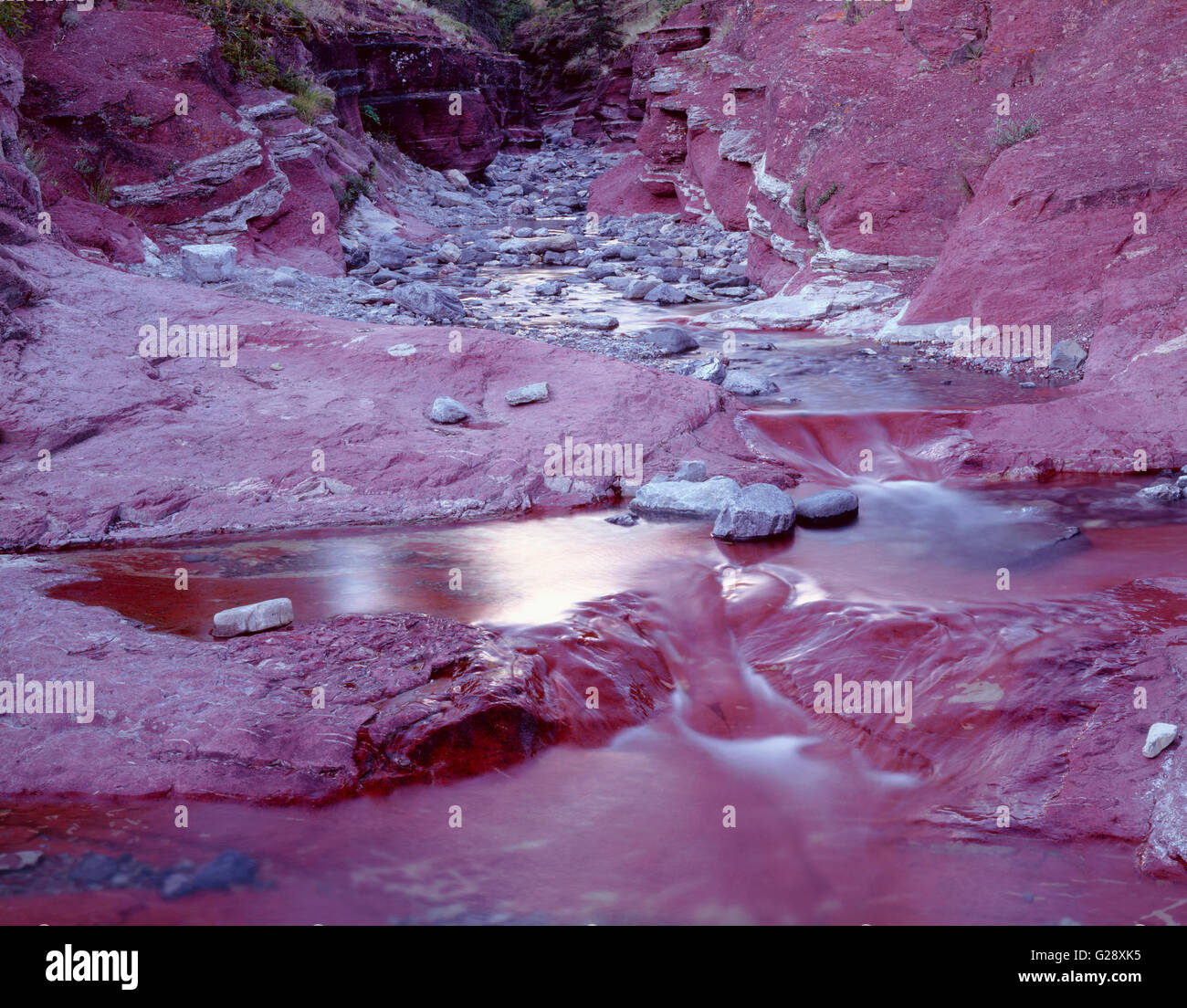 Kanada, Alberta, Waterton Lakes National Park, rötlichem Tonschiefer, Sedimentgestein, Farben Bachbett im Red Rock Canyon. Stockfoto