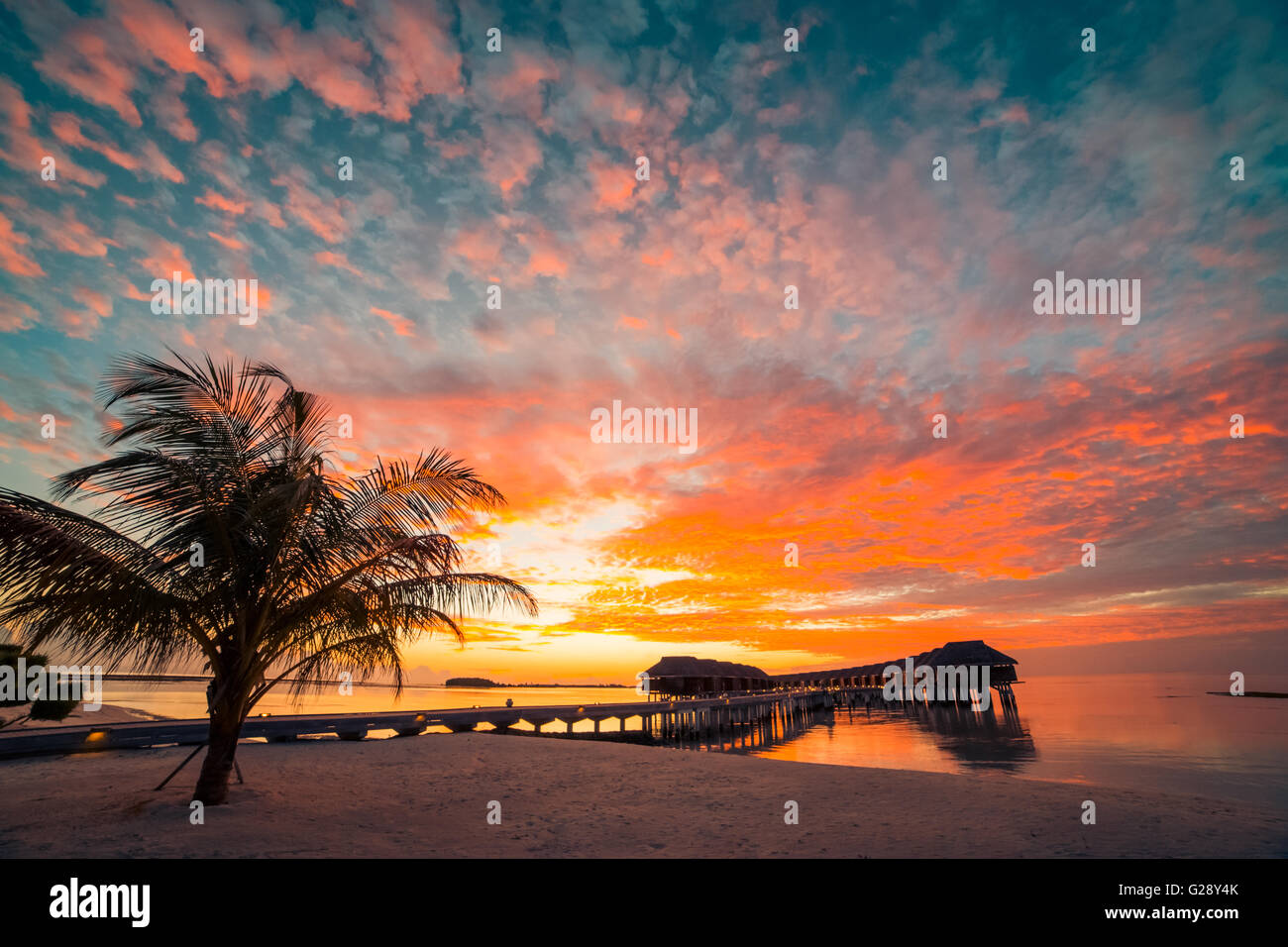 Erstaunlichen Sonnenuntergang Strand auf den Malediven. Hintergrund-Konzept Stockfoto