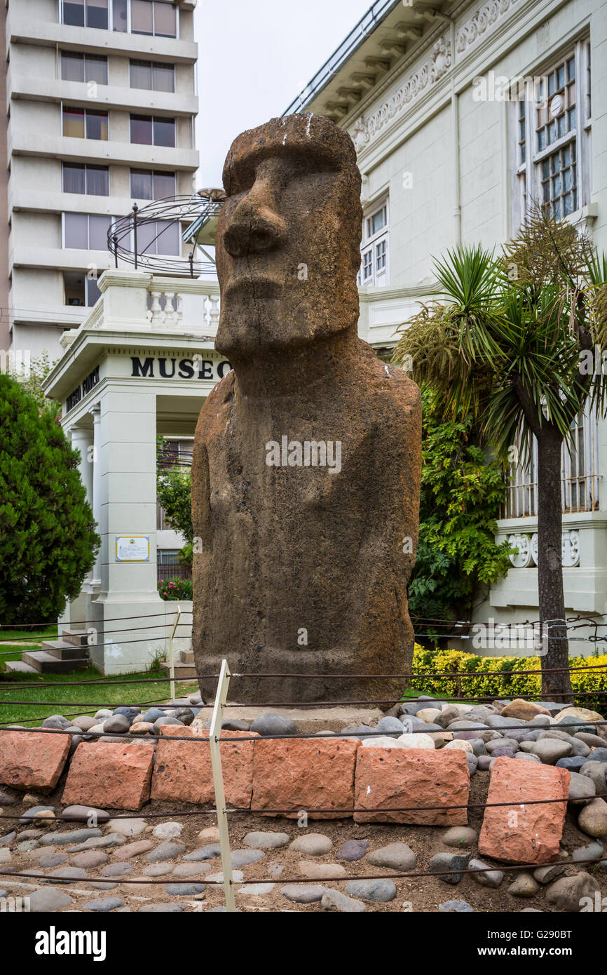 Ein Osterinsel-Moai Ausstellung im Museum für Archäologie in Viña Del Mar, Chile, Südamerika. Stockfoto