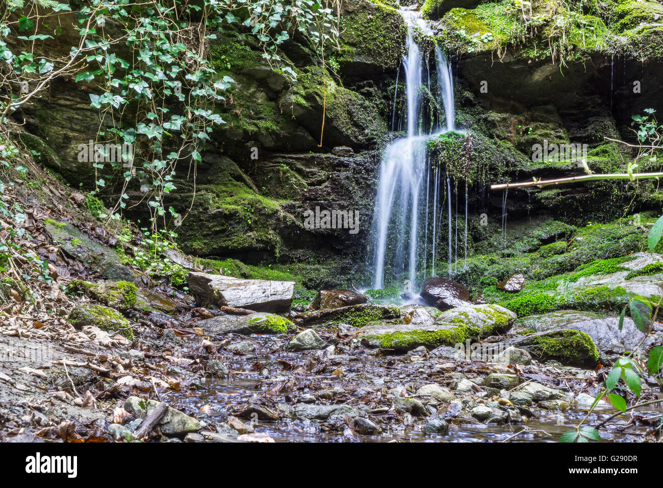 Kleiner Wasserfall im Wald Stockfoto