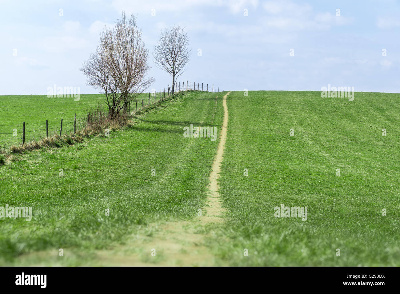 Satte grüne Landschaft Stockfoto