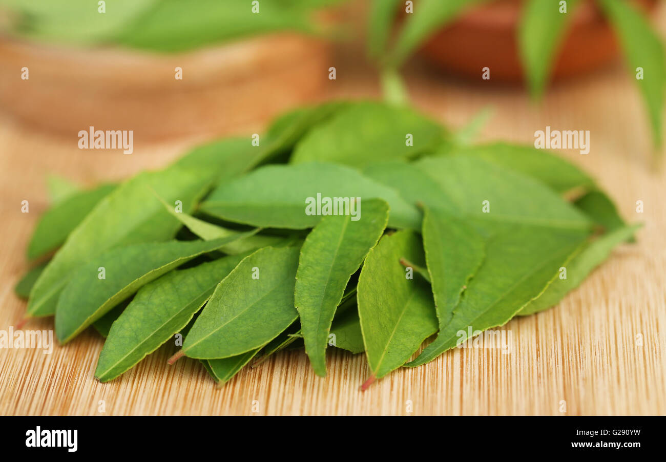 Curryblätter auf Holzuntergrund Stockfoto