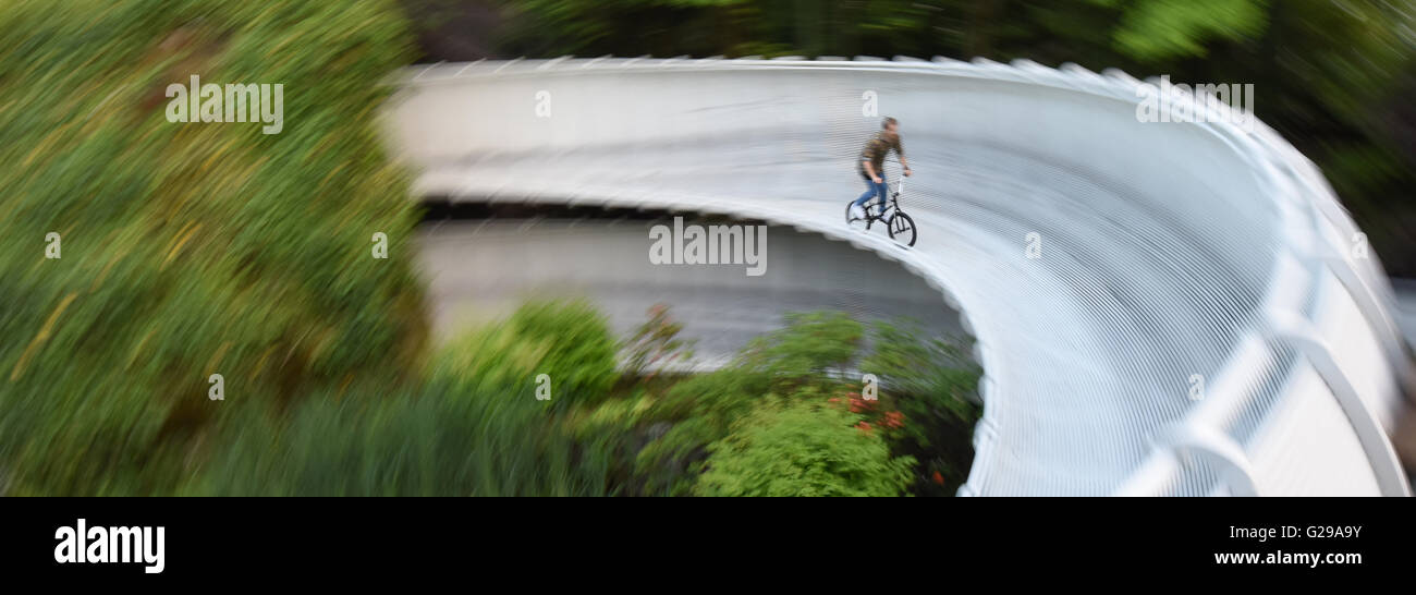 Rust, Deutschland. 26. Mai 2016. Profi BMX-Fahrer Chris Böhm aus Lörrach Reiten durch eine Achterbahn zum ersten Mal in Deutschland im Europa-Park in Rust, Deutschland, 26. Mai 2016. Die drei Mal, die deutscher Meister eine neue, noch nicht bestätigt Rekord von 33 Mal in 30 Sekunden auf seinem Fahrrad dreht. Foto: PATRICK SEEGER/Dpa/Alamy Live News Stockfoto