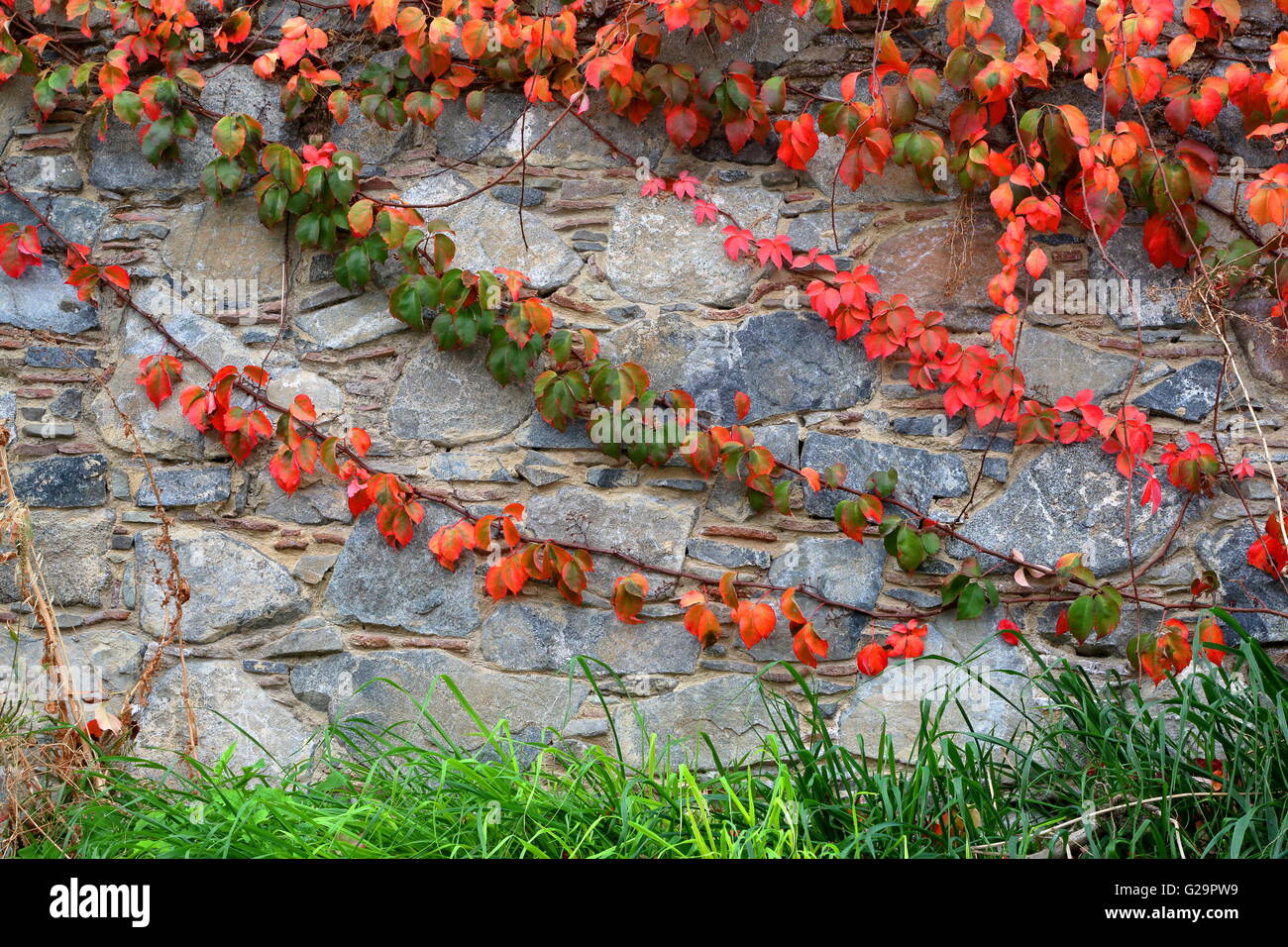 Herbstfärbung, die Außenwand eines traditionellen Hauses im Dorf Tres Elies im Troodos-Gebirge, Zypern Stockfoto