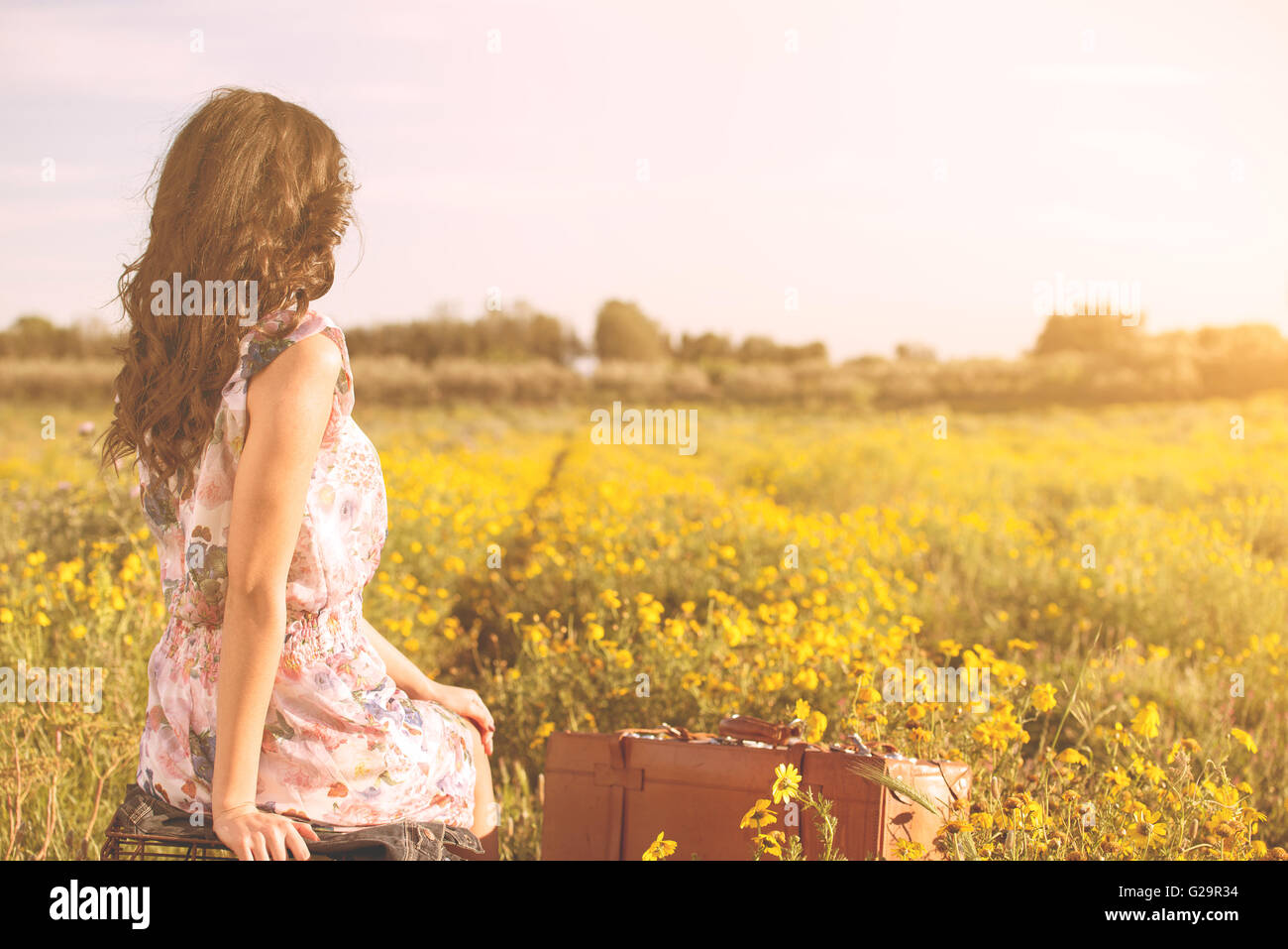 Frau sitzt in einem Feld, Blick auf den Horizont Stockfoto