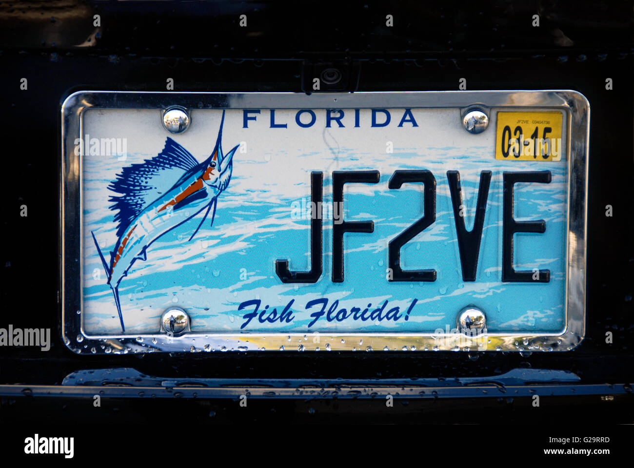 Auto Nummer Platte, Florida, USA Stockfoto