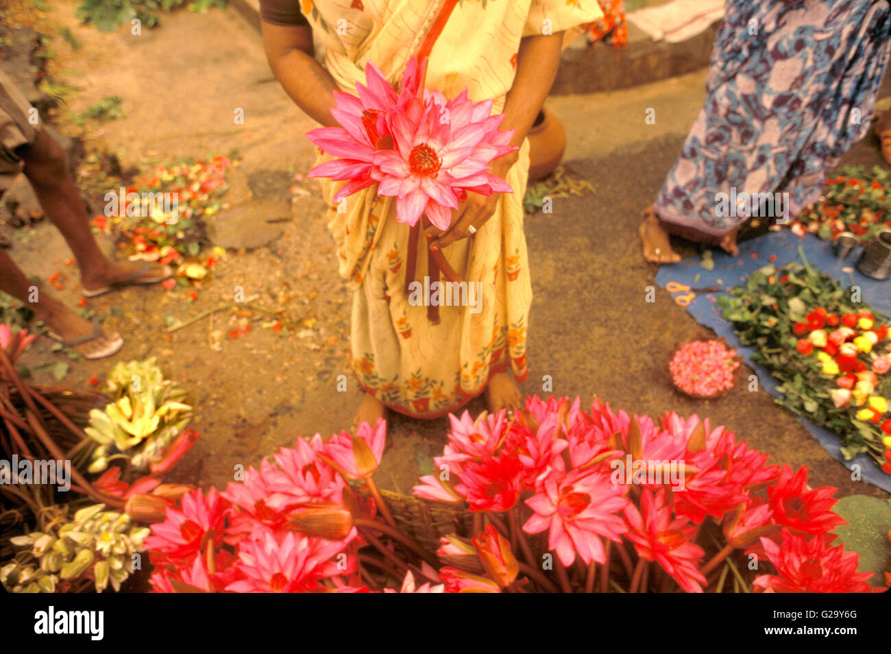 Lotus-Blume-Verkäufer außerhalb der Sri Aurobindo Ashram. Pondicherry, Tamil Nadu, Indien. Stockfoto
