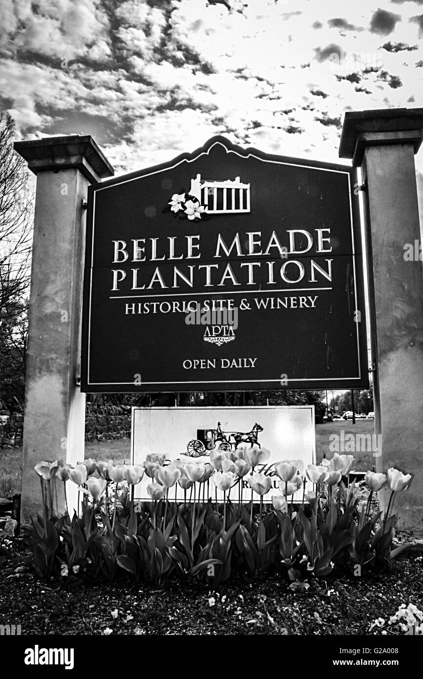 Stattliche Wegweiser und Tulpe Blumenbeete begrüßen Gäste der Belle Meade Plantage historische Stätte und Weingut in der Nähe von Nashville, TN Stockfoto