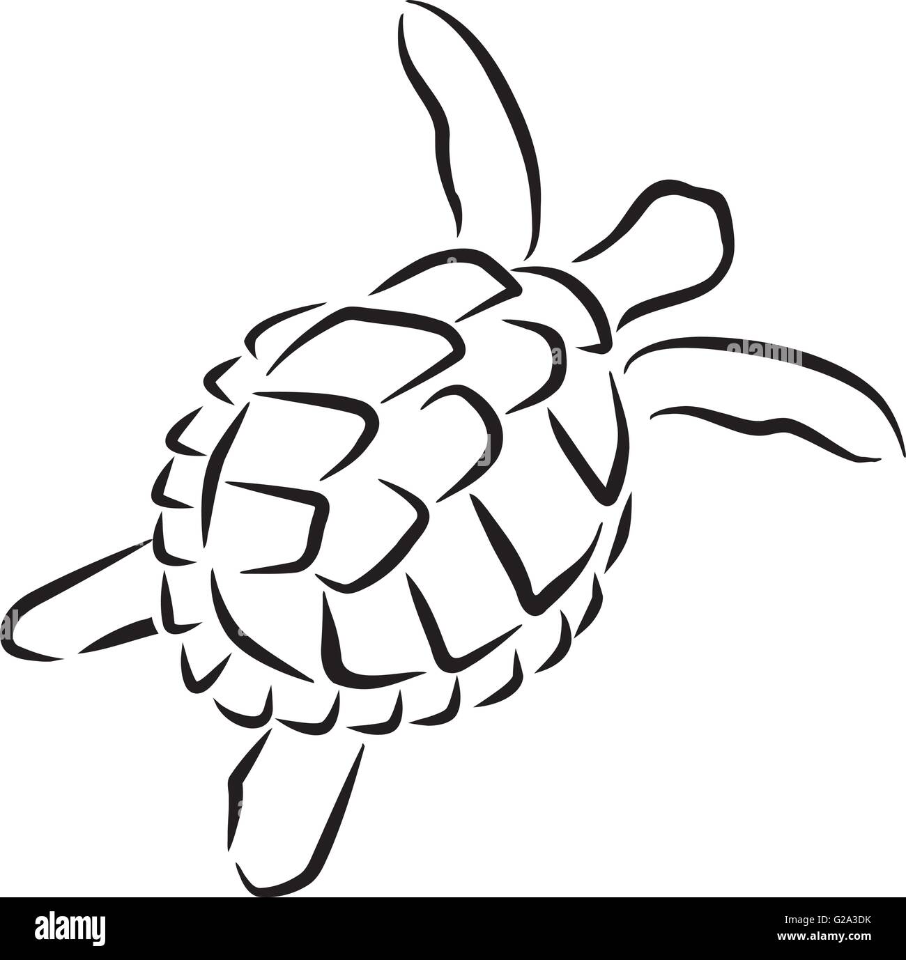 Schildkröte Kalligrafie Schwimmstil Stock Vektor