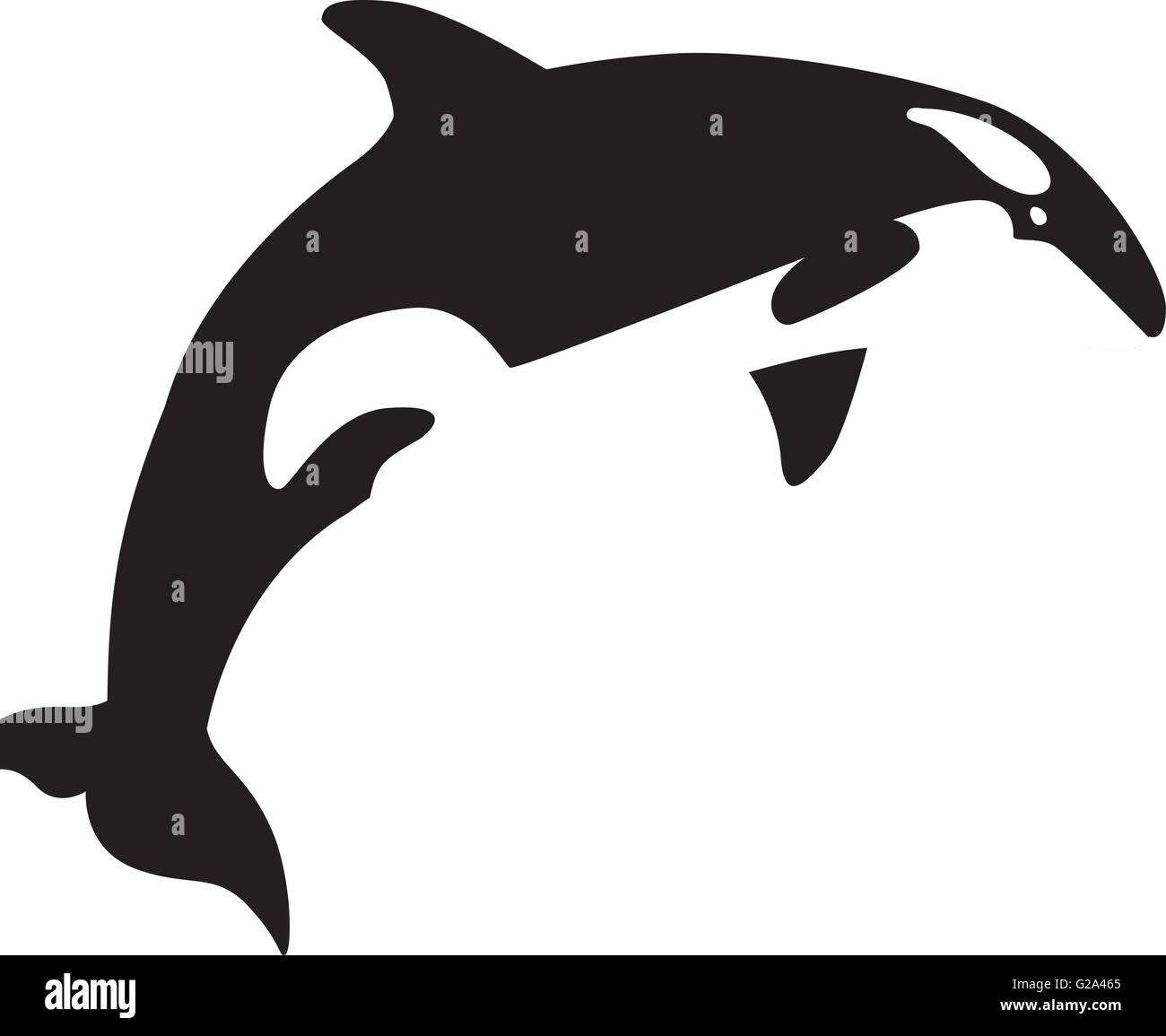 Schone Orca Wal Stock Vektorgrafik Alamy