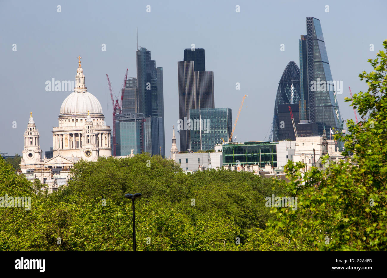Blick auf St. Pauls Cathedral mit üppigem Grün im Vordergrund und der City of London, darunter The Gherkin und Tower 42 Stockfoto