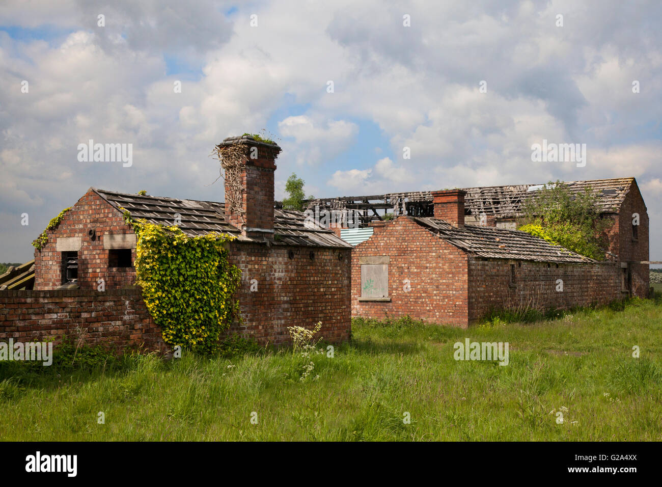 Einsame, unsichere, überwucherten 1803 Red brick Bauernhof, Gebäude, in armen Reparatur eine gefährliche Struktur im Burscough, Lancashire, Großbritannien Stockfoto