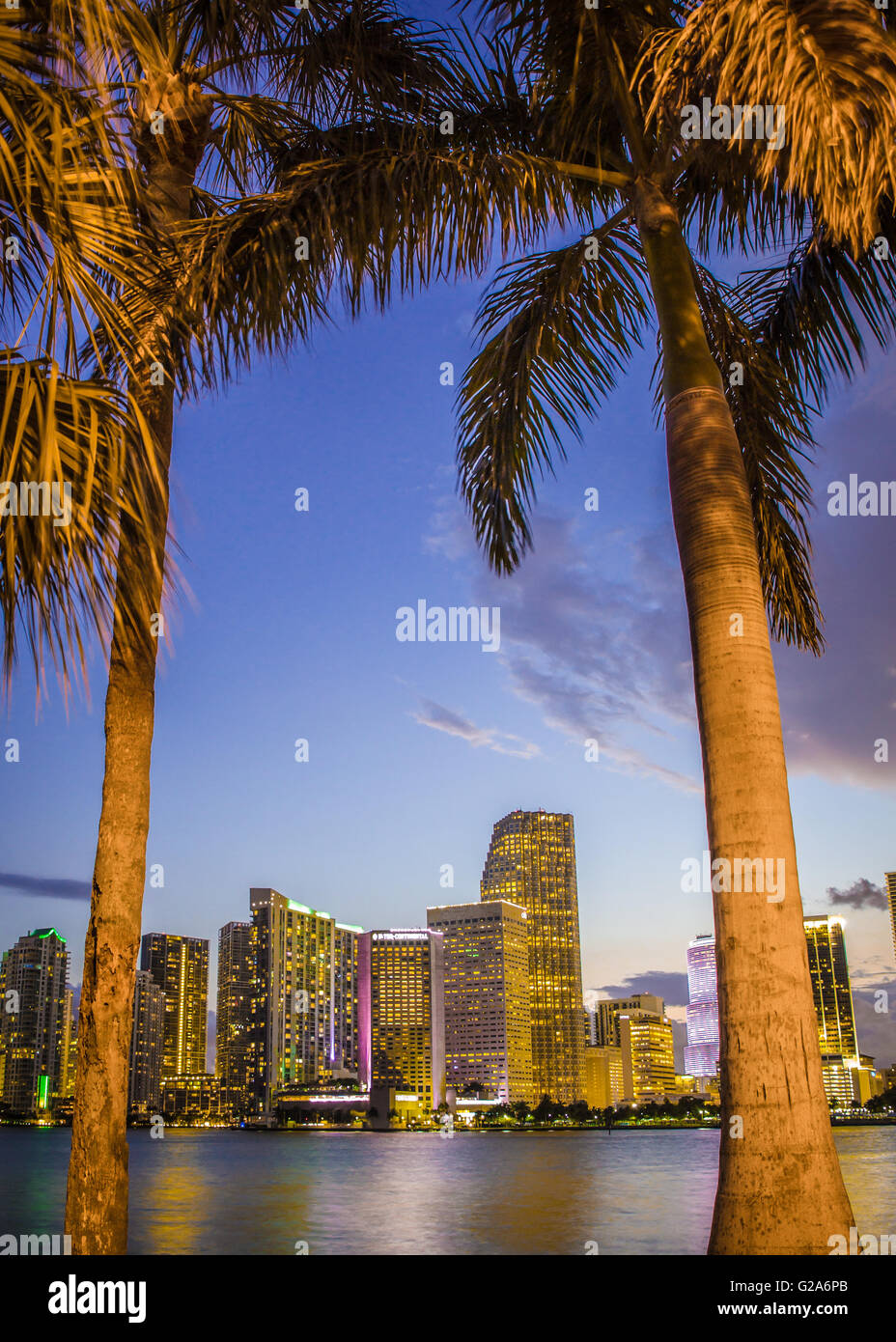 Blick auf schöne Miami Florida-Skyline bei Nacht durch Palmen gesehen Stockfoto