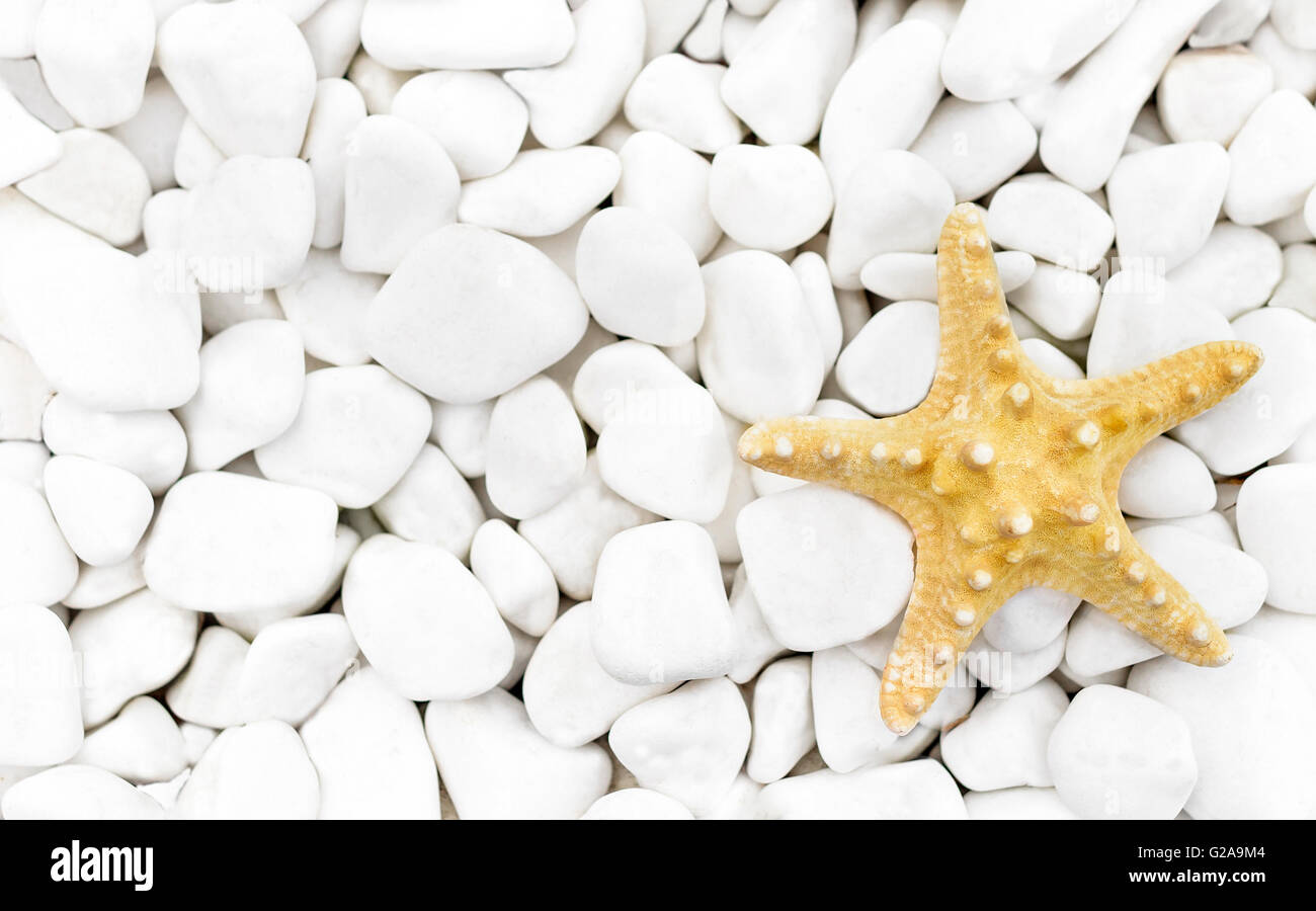 Schönen Seestern liegt auf weißen Steinen. Close-up. Stockfoto