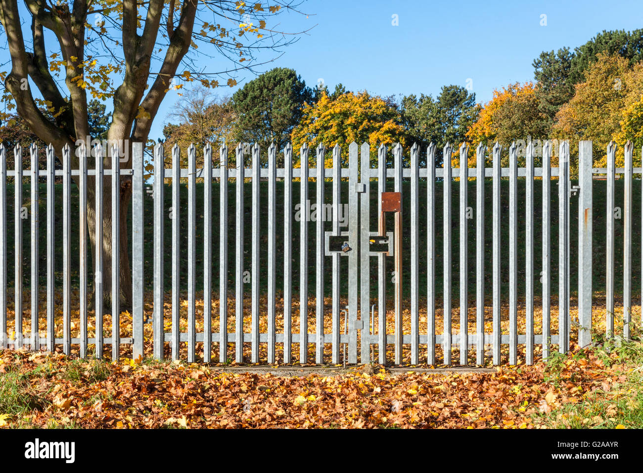Sicherheitszaun zwischen den Bäumen in der Landschaft, Nottinghamshire, England, UK Stockfoto