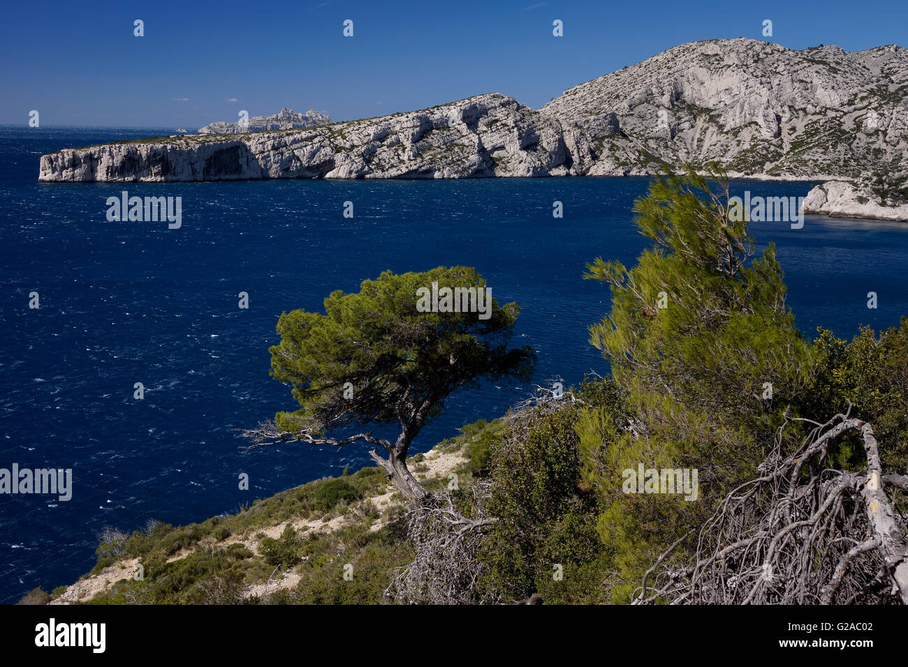 Landschaft vom Nationalpark Calanques in der Provence in Frankreich Stockfoto