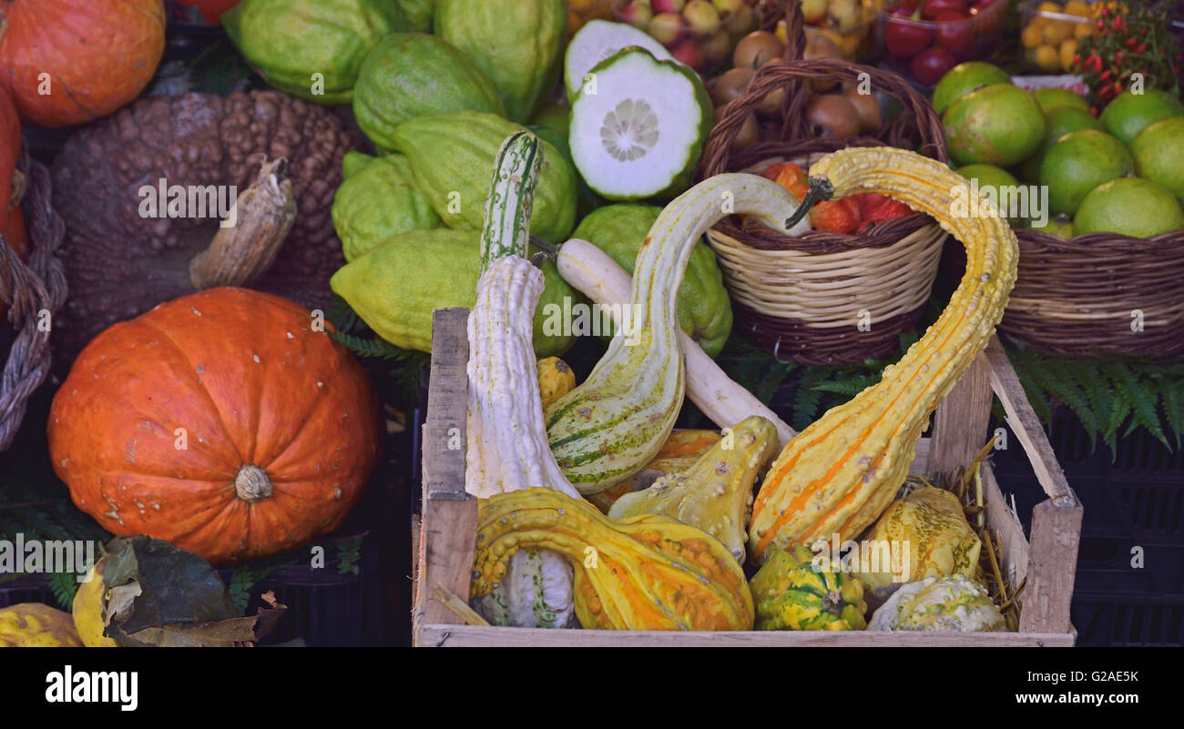 Herbstgemüse am Bauernmarkt Stockfoto