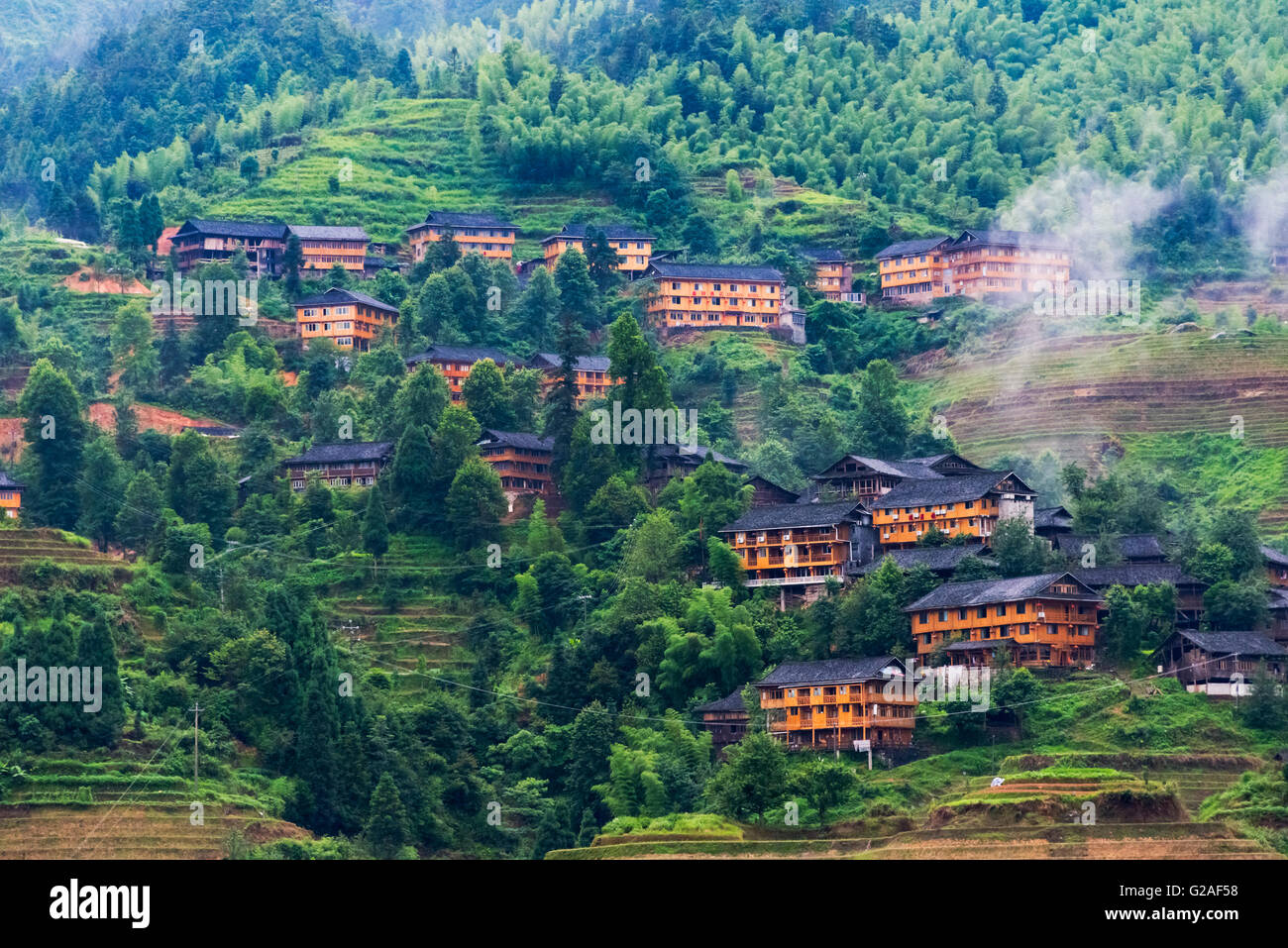 Dorfhäuser und Reisterrassen im Morgennebel im Gebirge, Dazhai, Provinz Guangxi, China Stockfoto