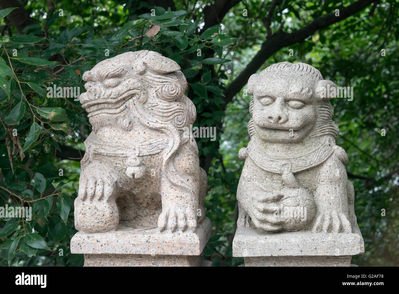 Löwen-Statuen, Nanjing, Provinz Jiangsu, China Stockfoto