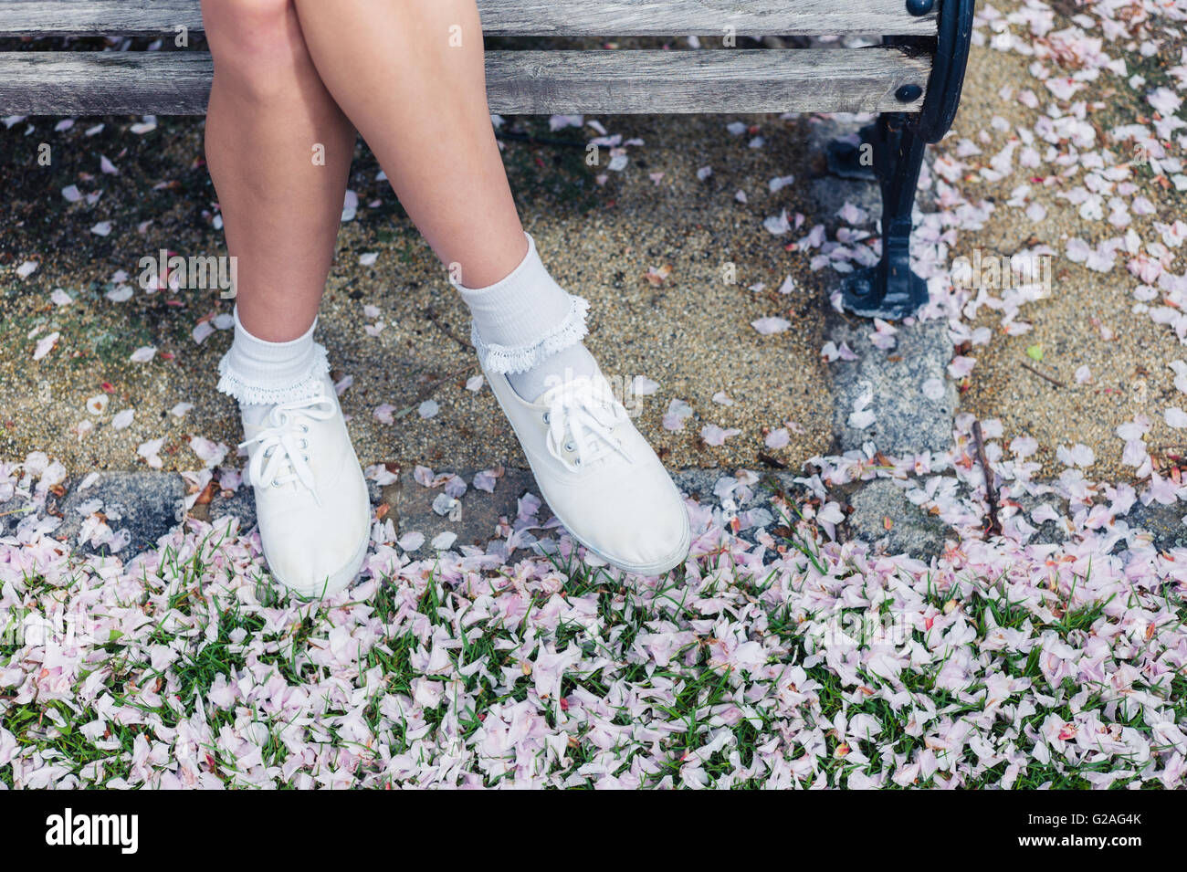 Die Beine und Füße einer jungen Frau, die entspannend auf einer Parkbank mit Kirschblüte am Boden Stockfoto