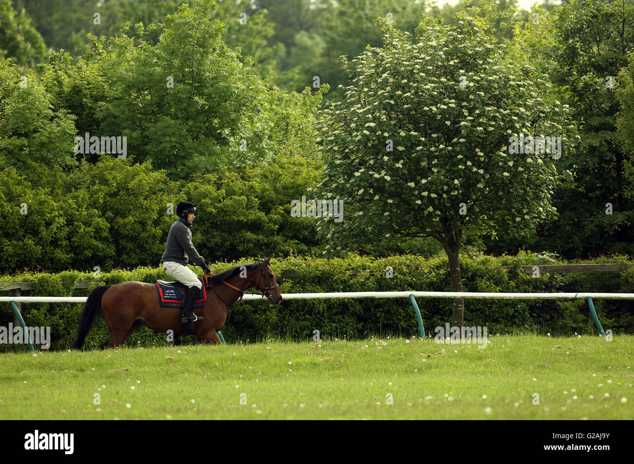 Cabinet Office Minister Matthew Hancock Reiten Capeleira während einer Trainingseinheit in der British Racing School in Newmarket, für die Newmarket Stadt Platte, die er teilnehmen wird in der Stadt 350. Jahrestag und heben Geld für Hospiz St. Nikolaus feiern. Stockfoto