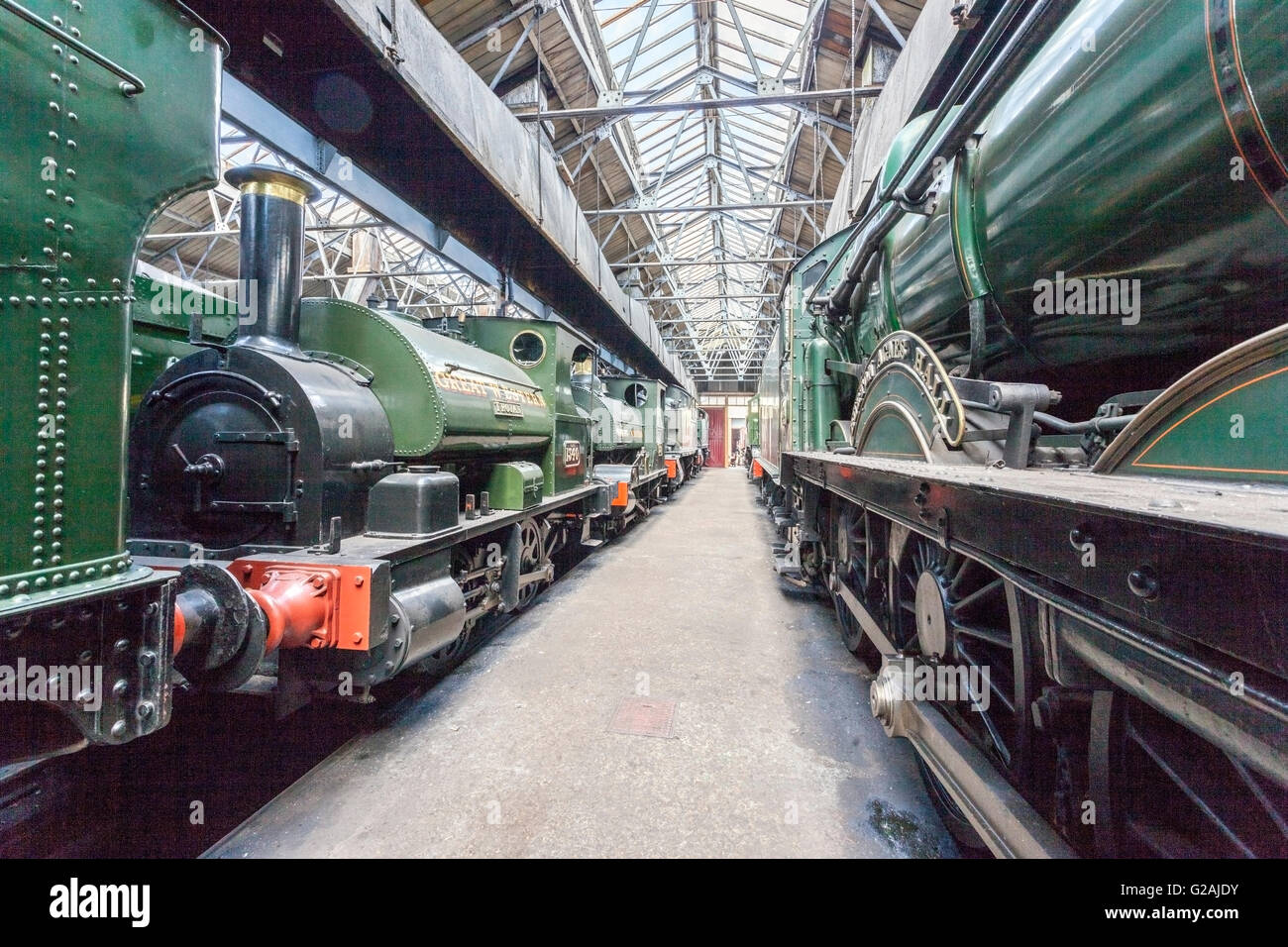 Eine Auswahl von ehemaligen Great Western Railway Dampfmaschinen in der Lok Schuppen an der Eisenbahn Didcot, Oxfordshire, England, UK Stockfoto