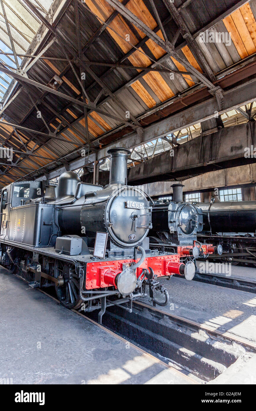 Zwei ehemalige Great Western Railway Tank Dampfmaschinen in der Lok Schuppen an der Didcot Railway Centre, Oxfordshire, England, UK Stockfoto