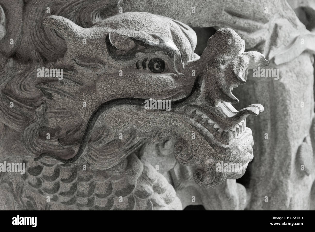 Steinrelief des Drachen, South Putuo Tempel, Xiamen, Provinz Fujian, China Stockfoto