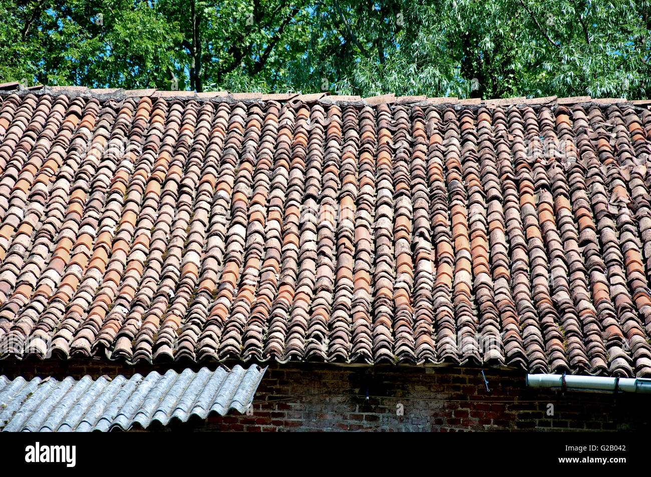 altes Dach einer Scheune, gebrochen und gefallenen, Ziegel Stockfoto