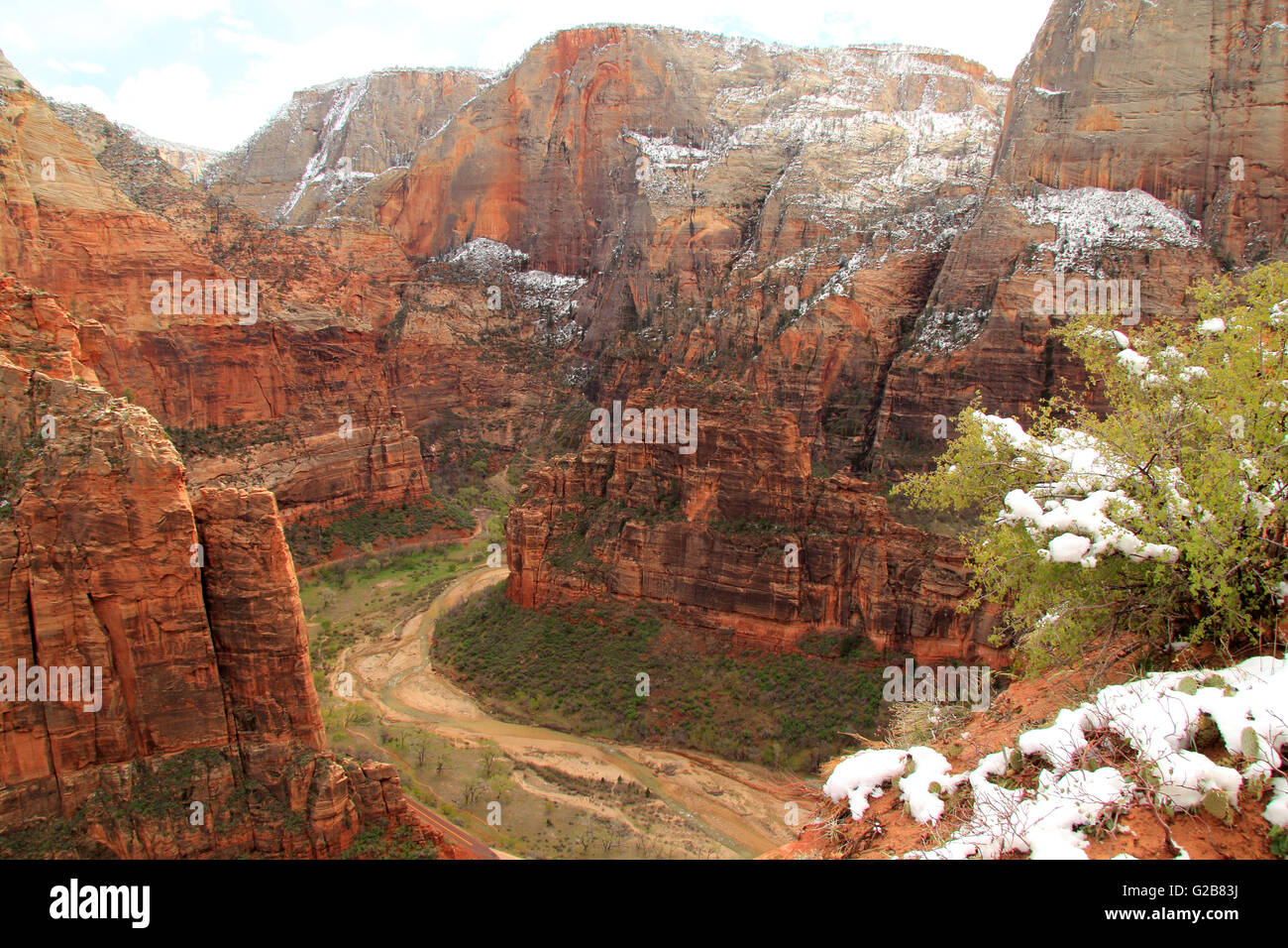 Den riesigen Zion Canyon in Zion Nationalpark Stockfoto
