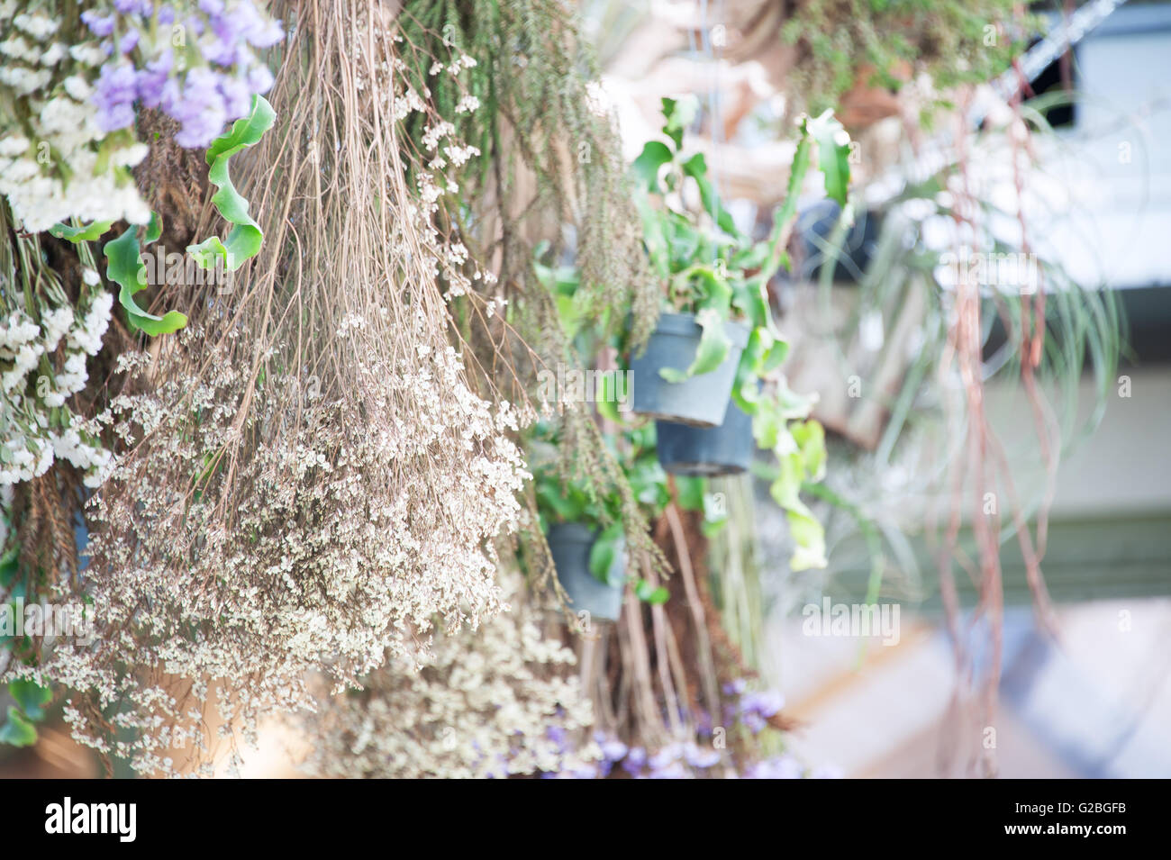 Home Garten glücklicher Ort für Sie. Stockfoto