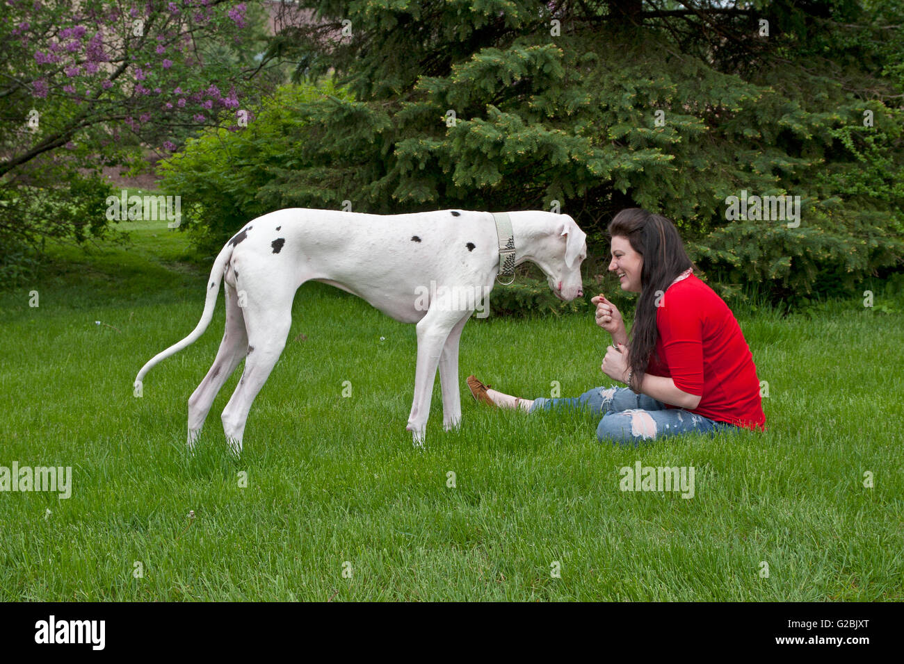 Frau in rot mit großer Hund Stockfoto