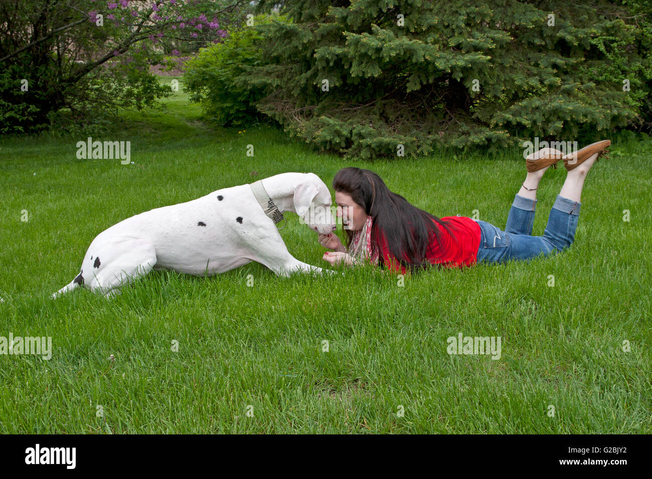 Frau in rot Anleihen mit großer Hund Stockfoto