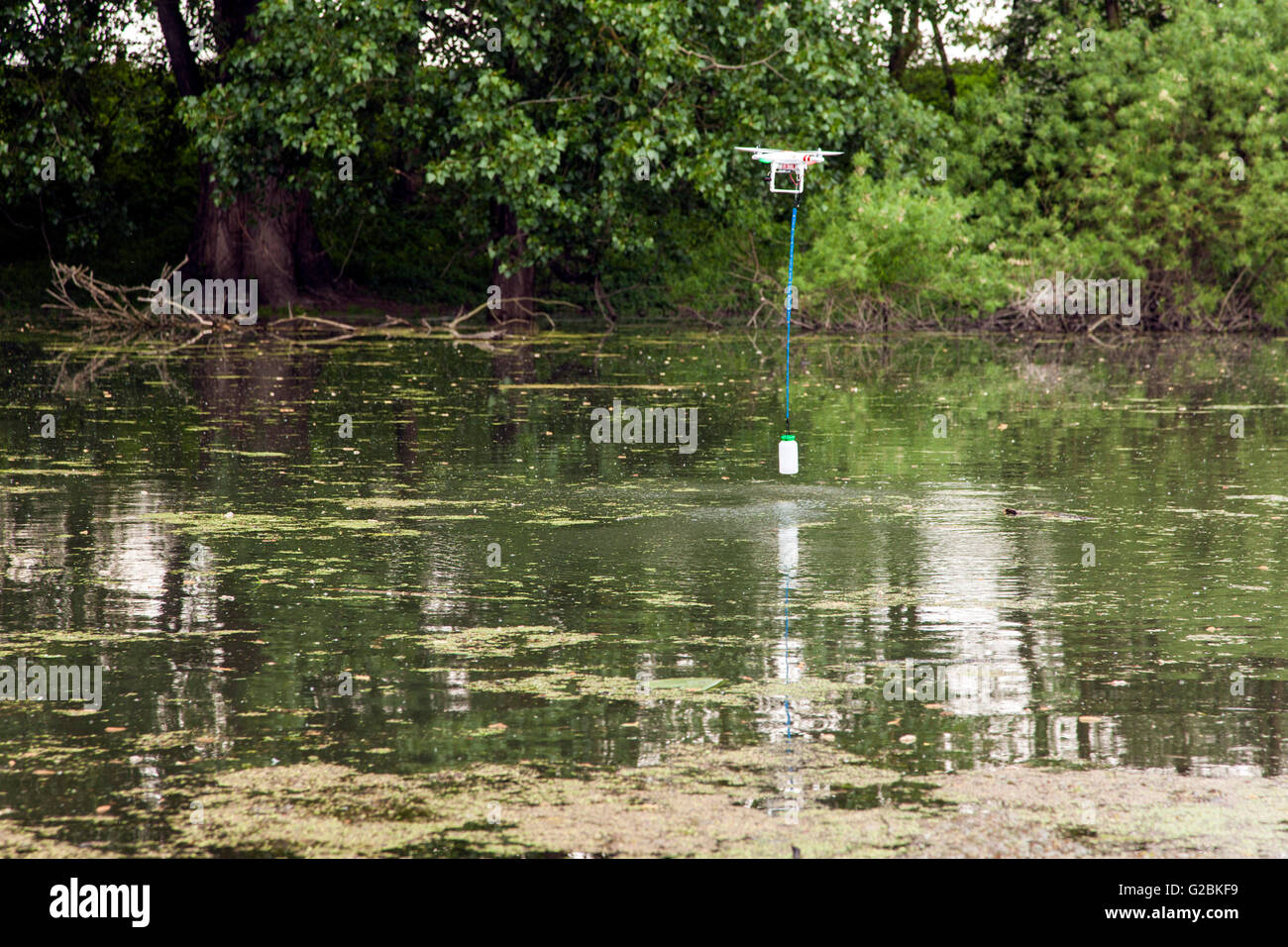 Eine Drohne nimmt eine Wasserprobe in einem Teich. Stockfoto